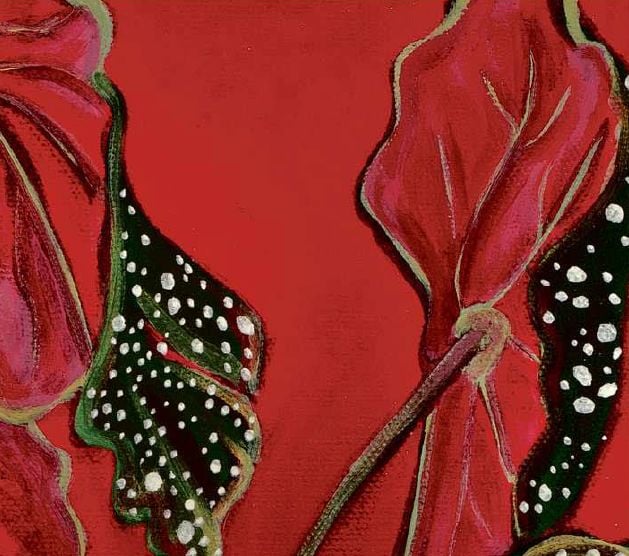 Day 8: 'Begonia 5'